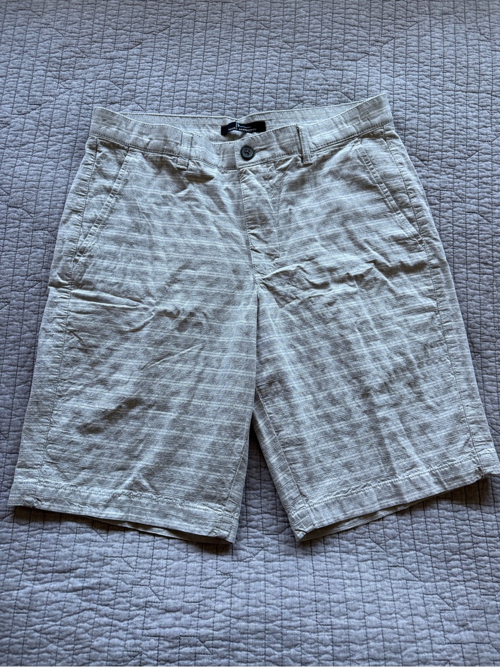 Marc Anthony Men’s Gray Striped Chino Shorts | Size 30